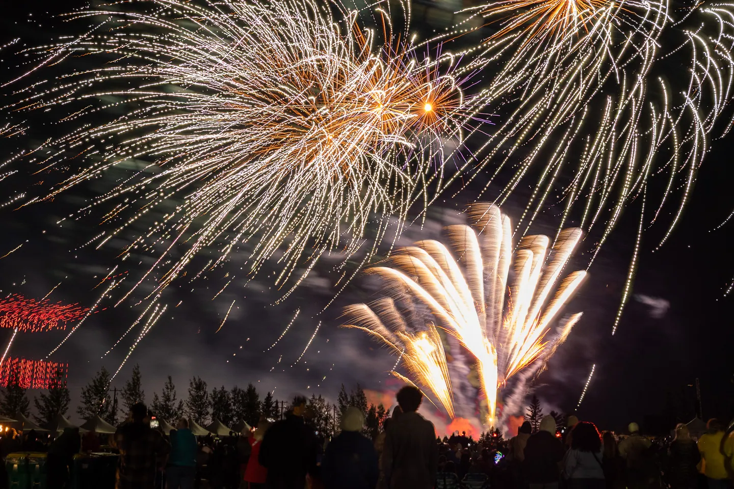 White and gold fireworks opening above a crowd at night