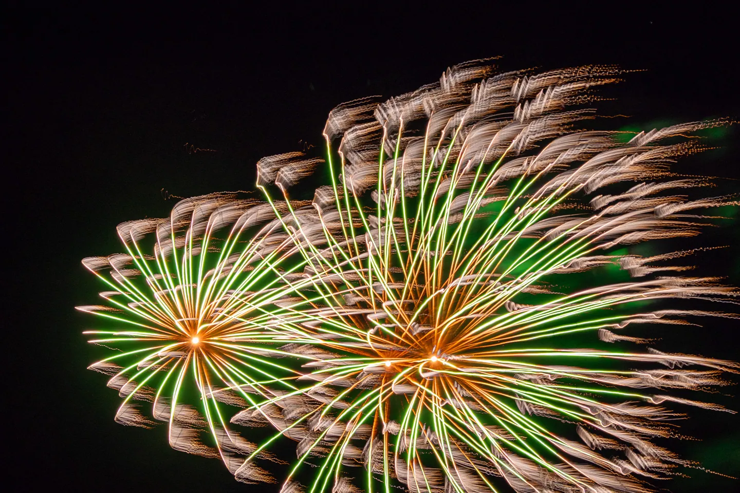 Green and gold chrysanthemum-shaped fireworks on black