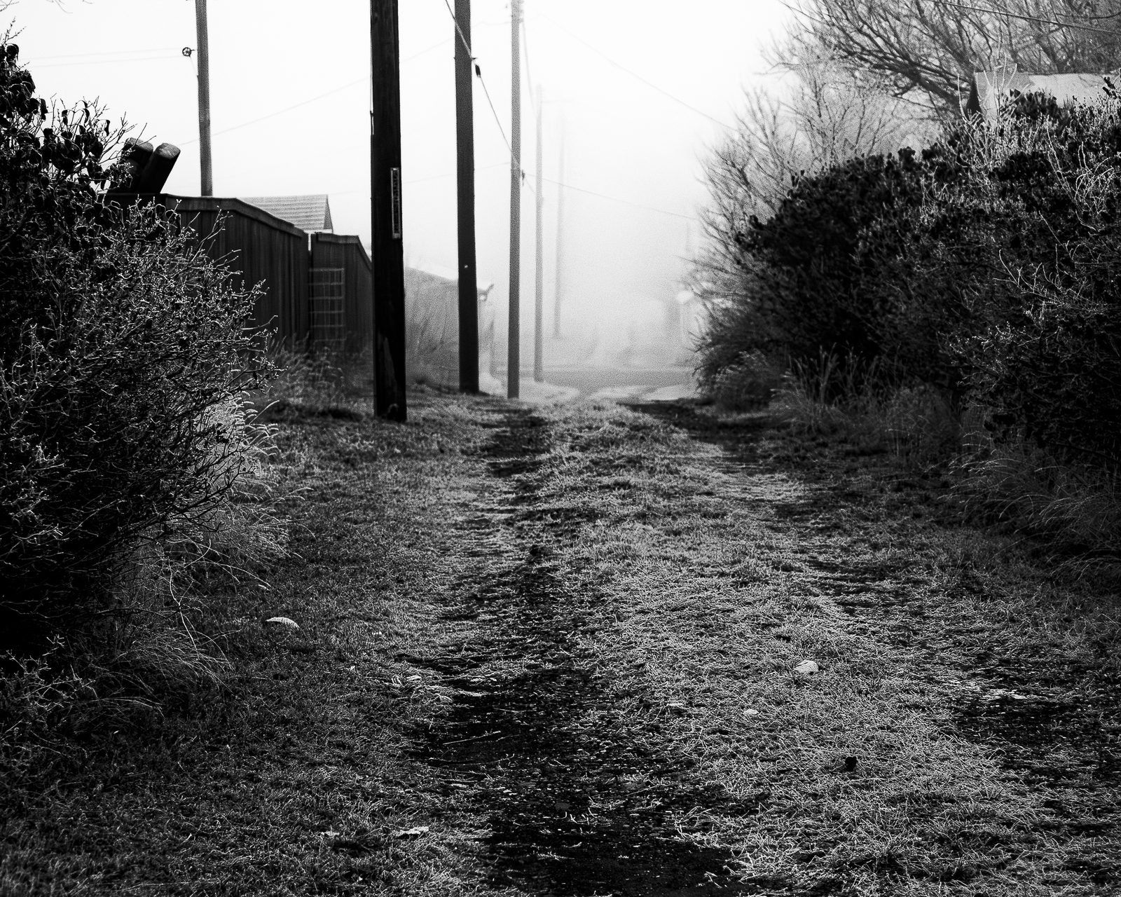 Farmyard scene in soft spring frost