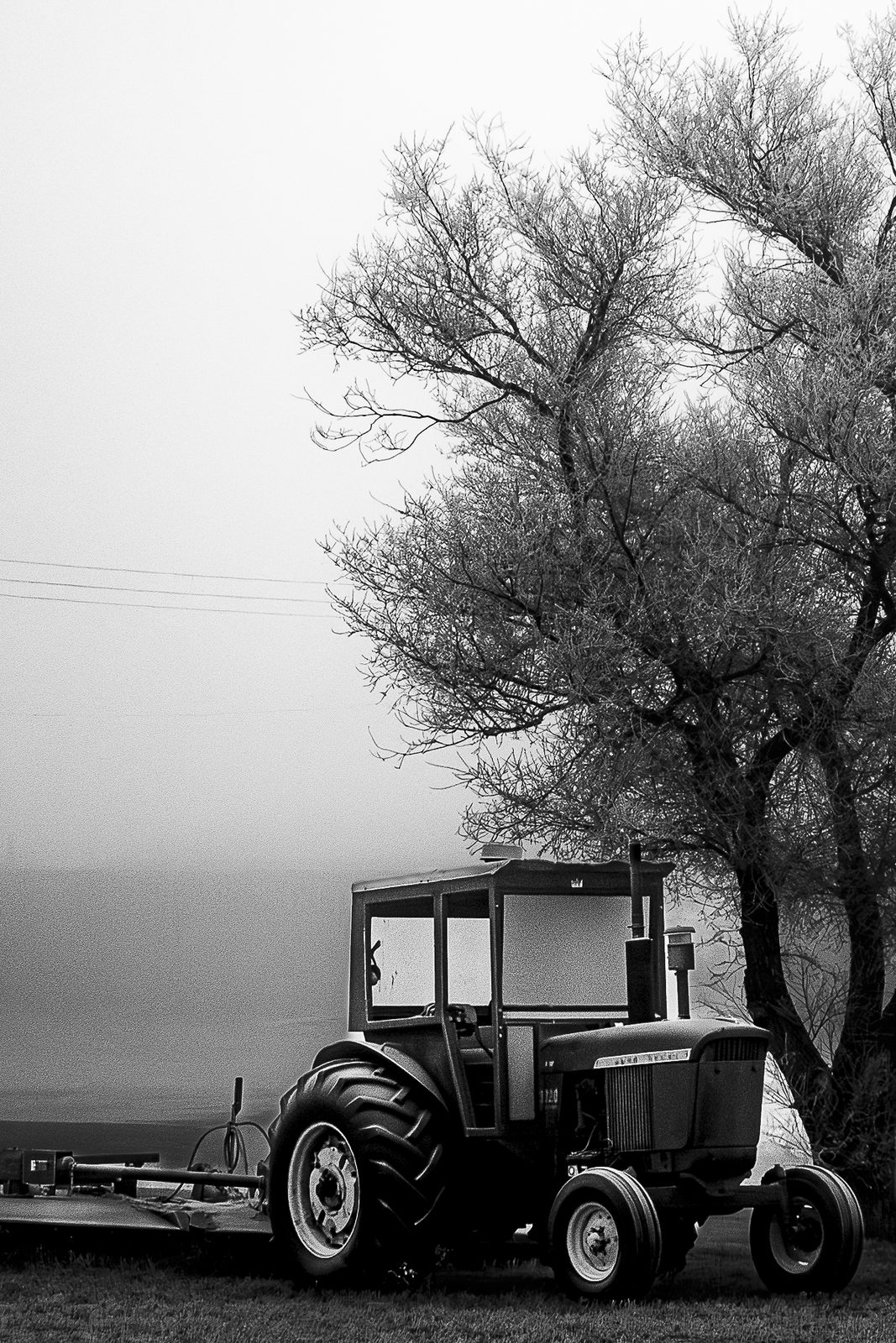 A quiet prairie lane after a spring frost